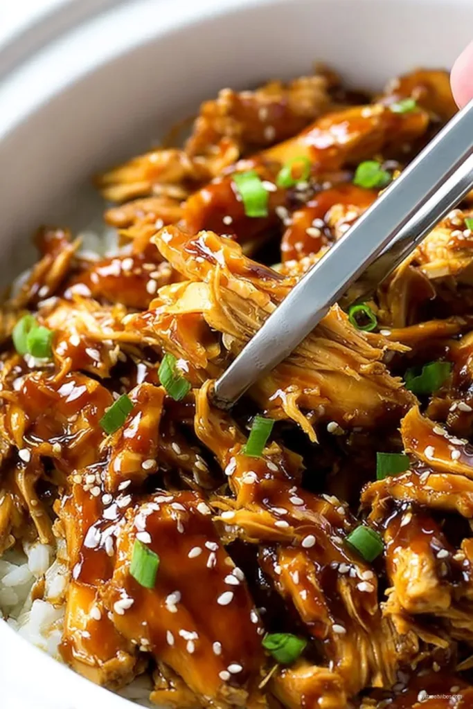 Slow Cooker Teriyaki Chicken